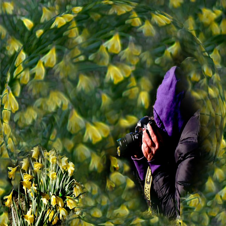 Portrait of the Photographer (v)